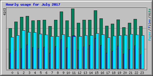 Hourly usage for July 2017